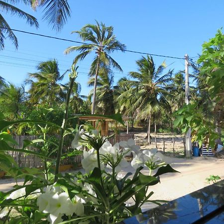 Villa Dos Coqueirais Icaraí Eksteriør bilde