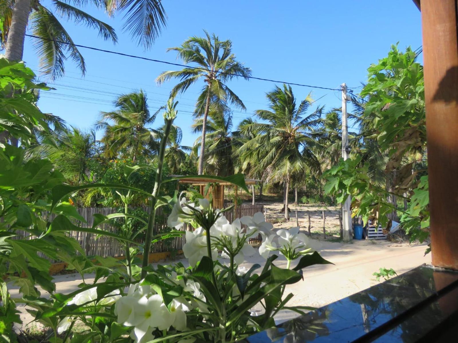 Villa Dos Coqueirais Icaraí Eksteriør bilde